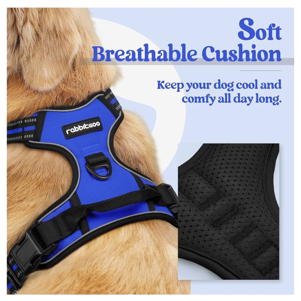 rabbitgoo Dog Harness No Pull with 2 Leash Clips, Dazzling Blue, Size S